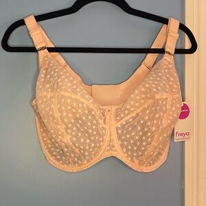 Women’s T-shirt bra